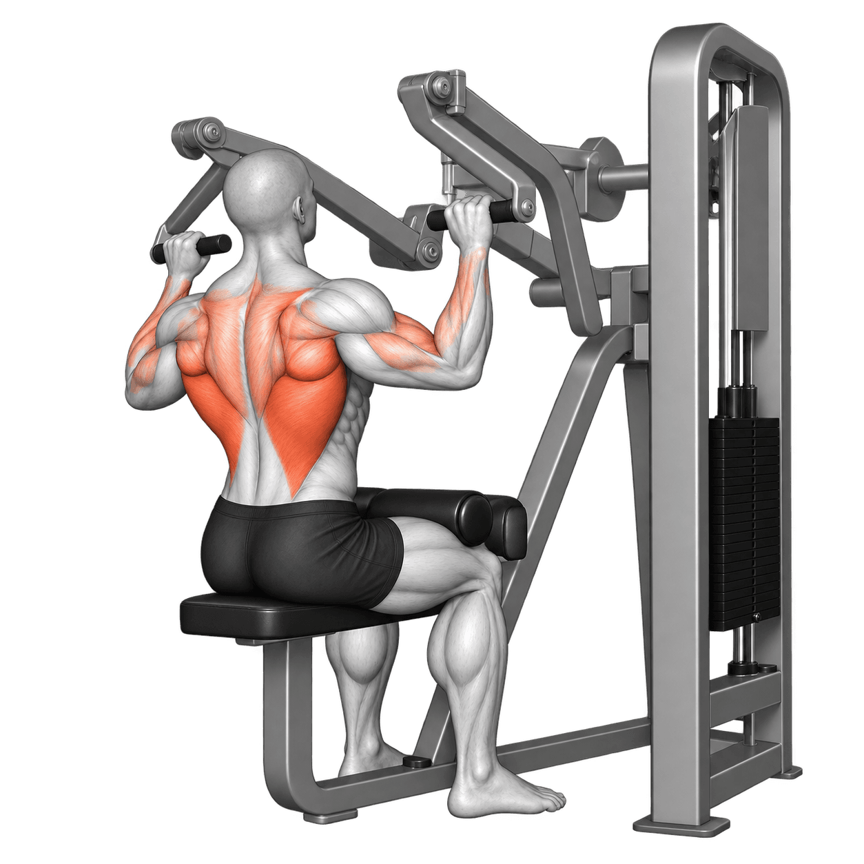 Plate-loaded lat pulldown machine with a seated lifter pulling the handles down