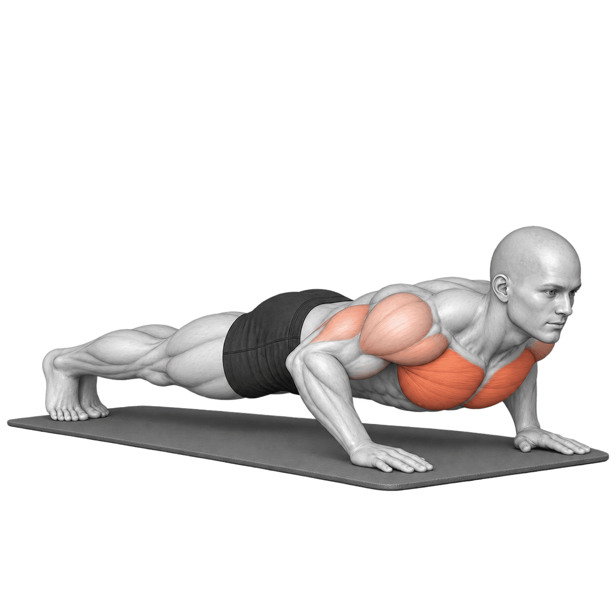 Push-up illustration showing a straight-body lowering position with the chest and shoulders highlighted.